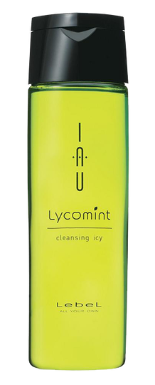 Решение проблем кожи головы (Шампунь IAU Lycomint cleansing icy) - купить по низкой цене с доставкой по России